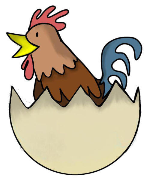 Rooster - egg image